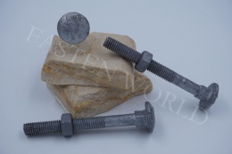 Carriage bolt