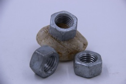 Hex Nut