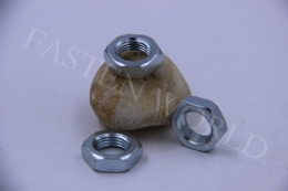 Hex Nut