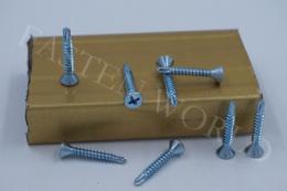 Cross recessed countersunk head self tapping screw