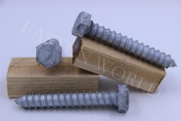 Hexagon head wood screws